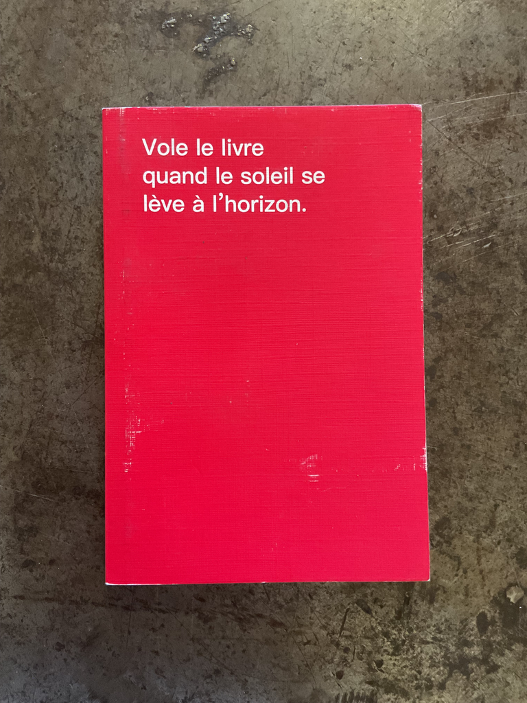 David Horvitz comment  voler des livres