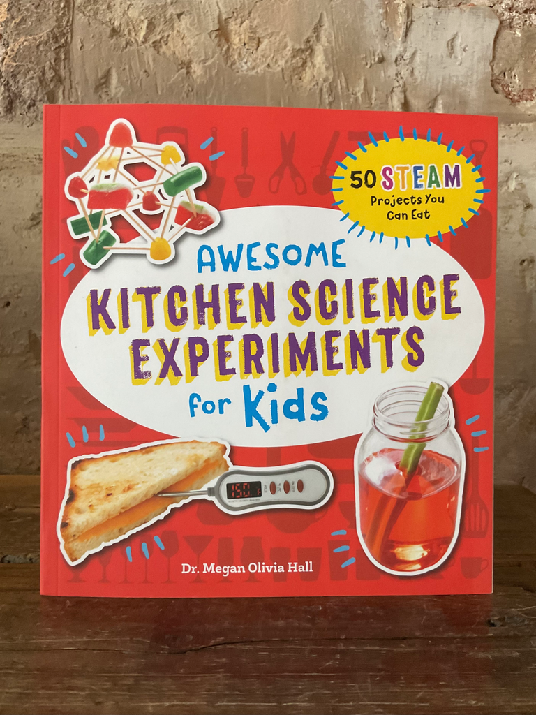 Awesome Kitchen Science Experience for Kids