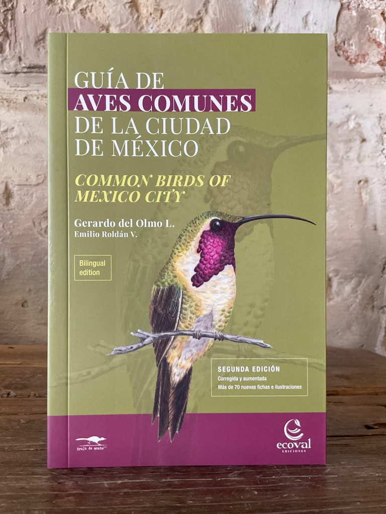 Guía de aves comunes 