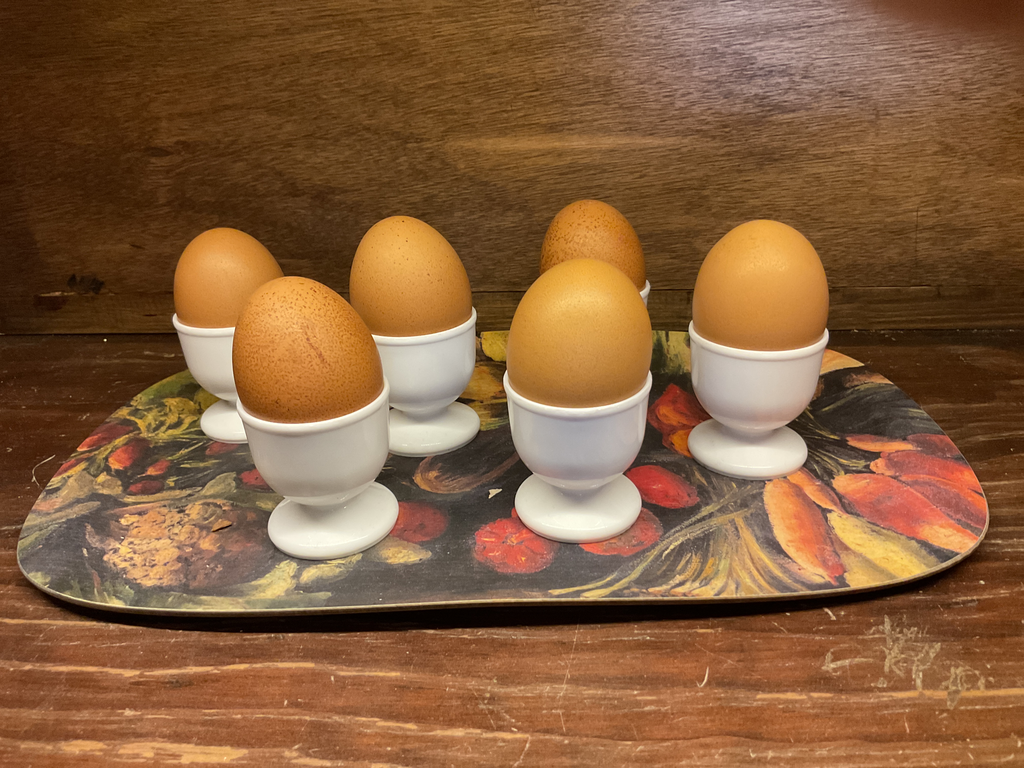 Base para huevo plastico