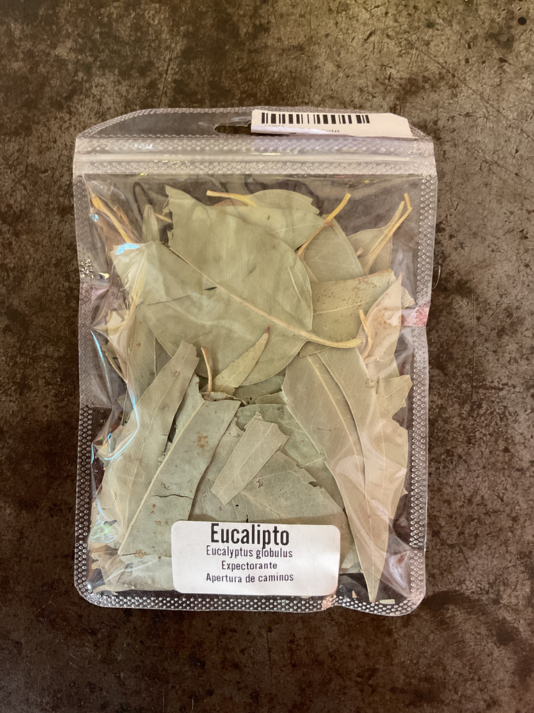 Sachet de Eucalipto
