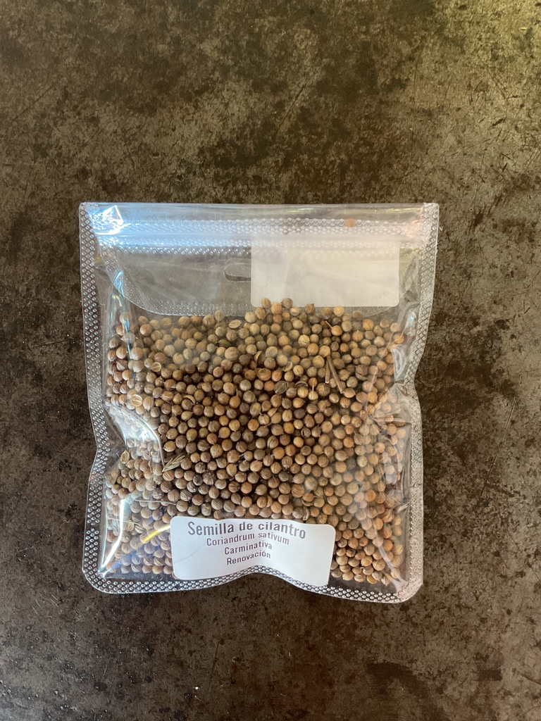 Sachet de Semilla de cilantro