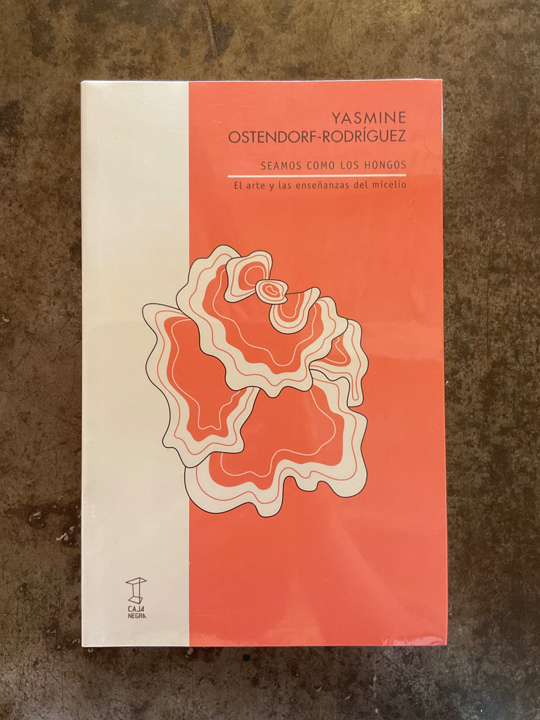 Seamos como los hongos. El arte y las enseñanzas del micelio 