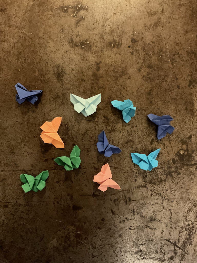 Separador mariposa Nora 