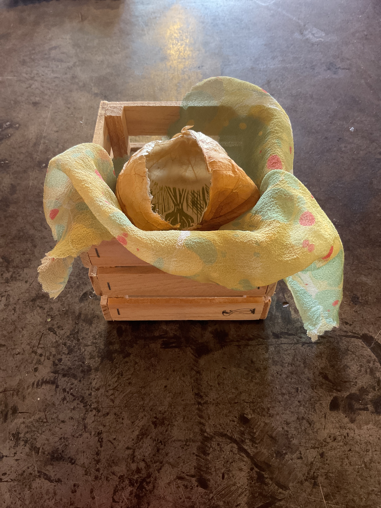 Tomates. Cáscara de tomate deshidratada,grabados impresos en papel kozo Yessica Díaz.