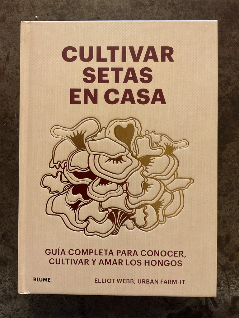Cultivar setas en casa