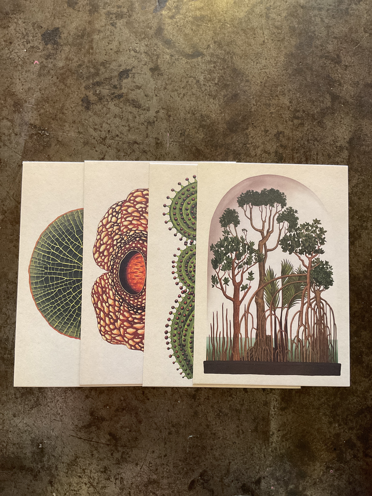 Postales botanicum 