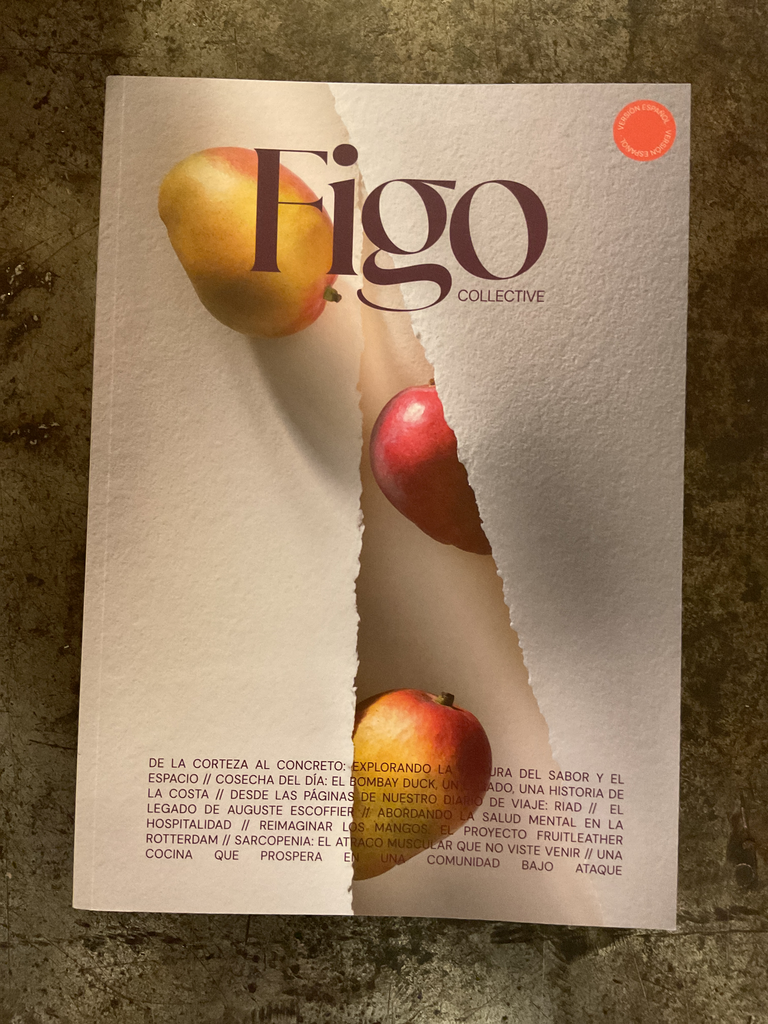 FIGO Collective. No. 3. Edición español 