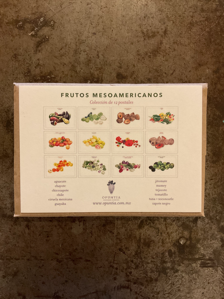 Postal Ilustrada Frutos Mesoamericanos.