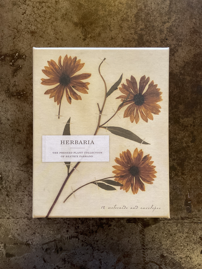 Tarjeta Herbaria. The press plant collection