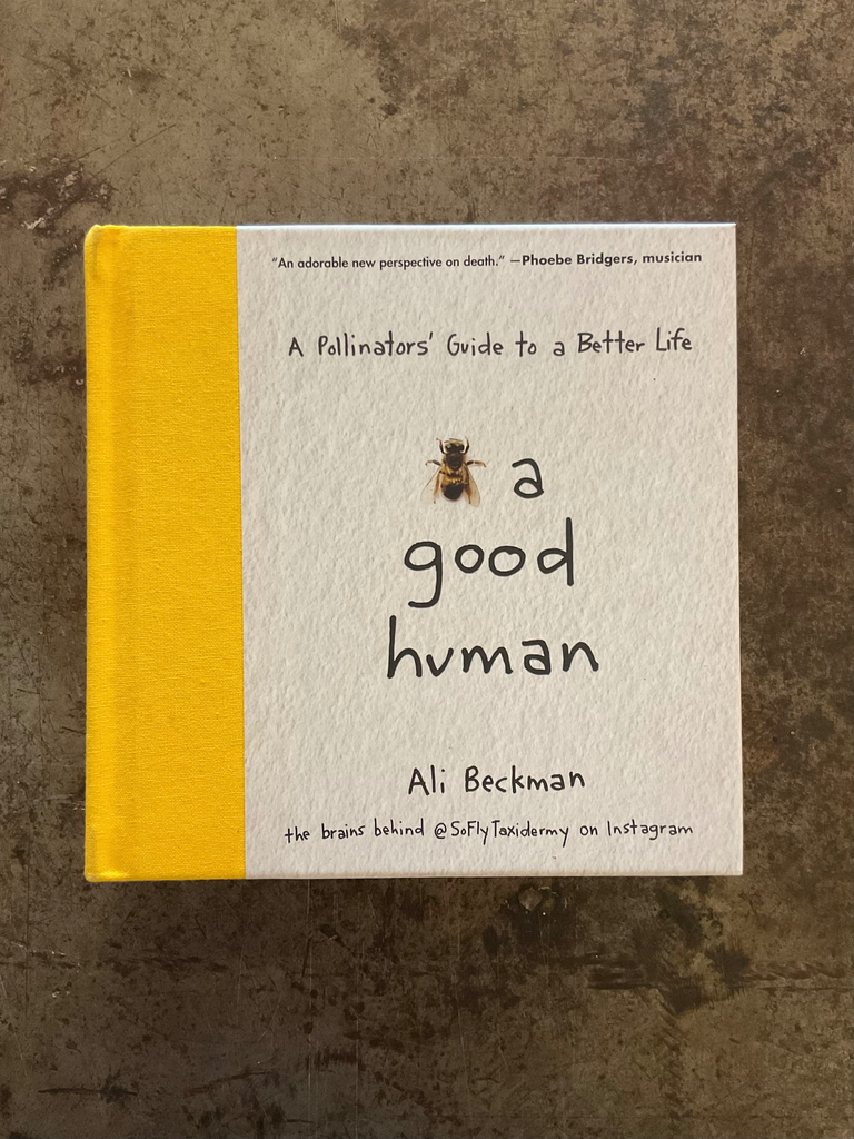 Bee a Good Human: A Pollinators' Guide to a Better Life