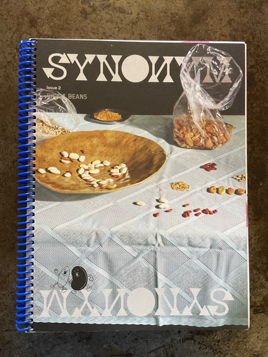 Synonym Magazine. Issue 4: Enclaves